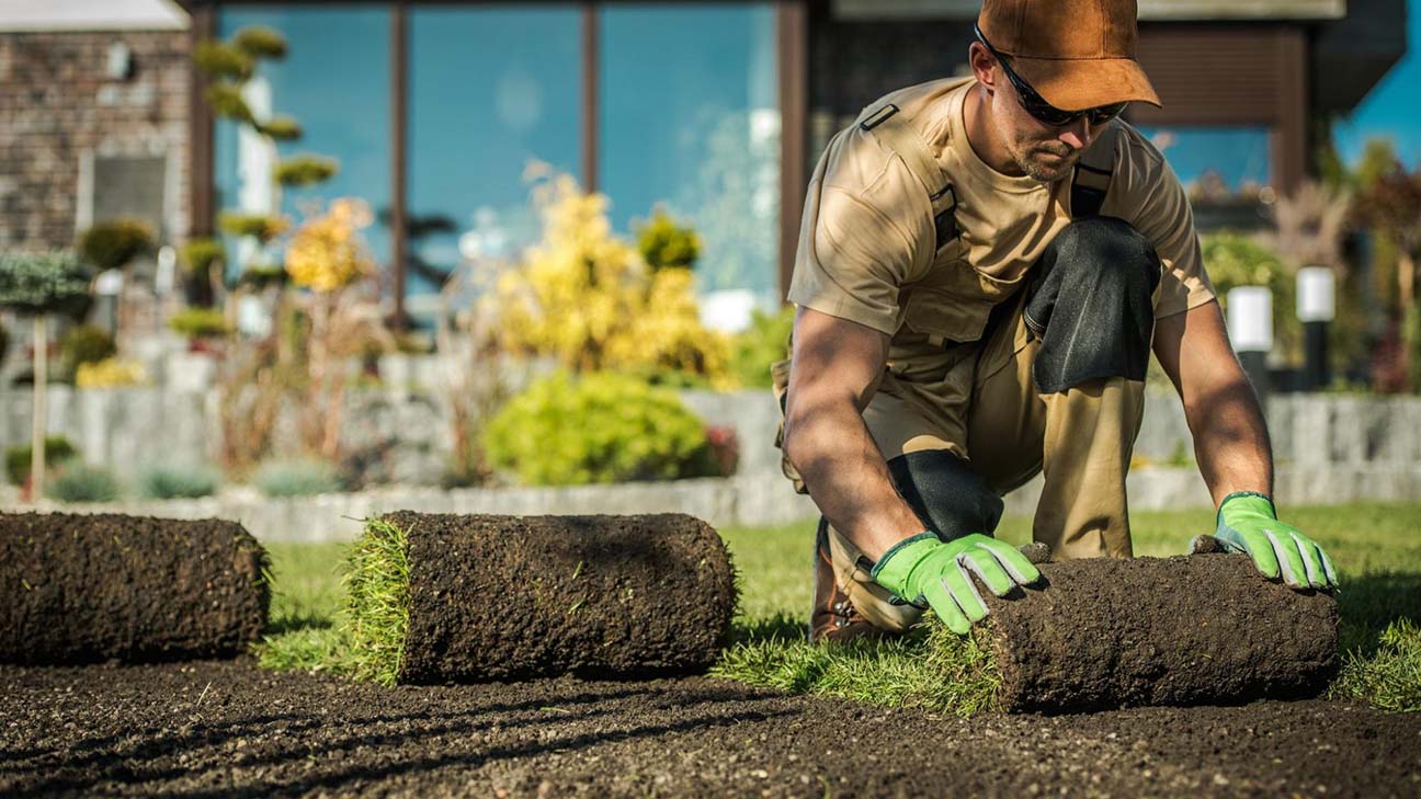 Lawn care marketing: landscaper rolling sod in a yard