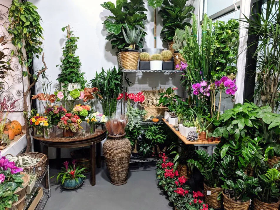 Starbright Floral Design