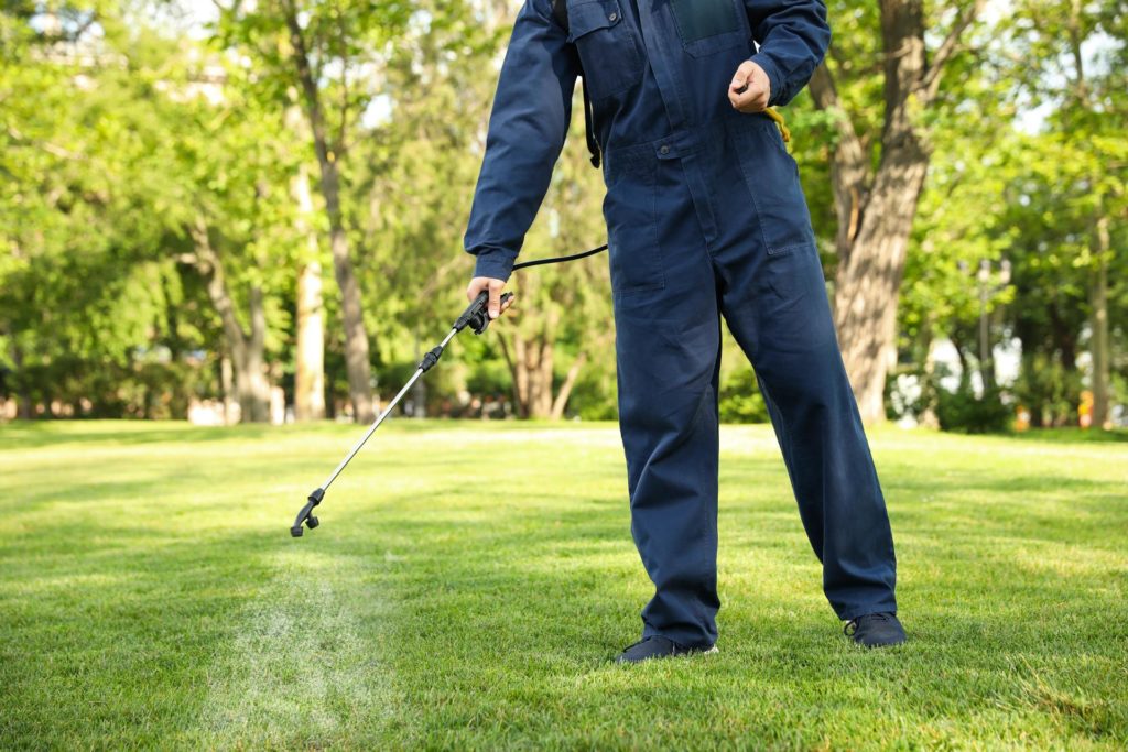 Lawn care marketing: landscaper lawn spraying