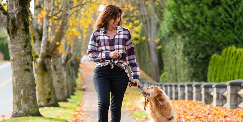 How to start a dog walking business: dog walker in park