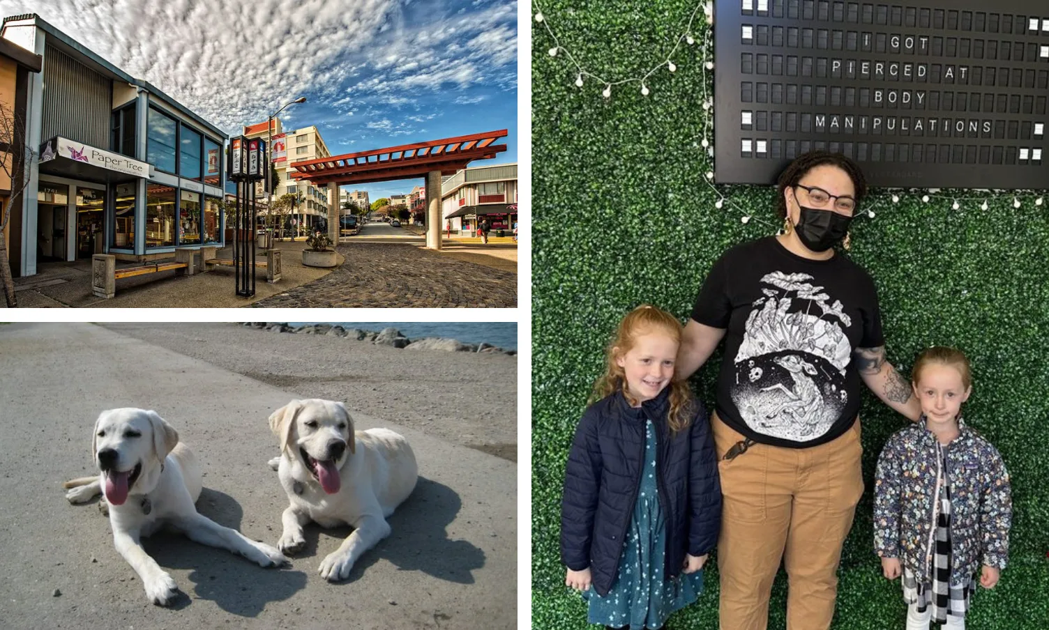 Left to right: photo of the outside of Paper Tree's retail shop from Paper on Yelp, photo of three clients at Body Manipulations from Yelp user Matt A., photo of two dogs at a dog training session from Dog Gone Good on Yelp