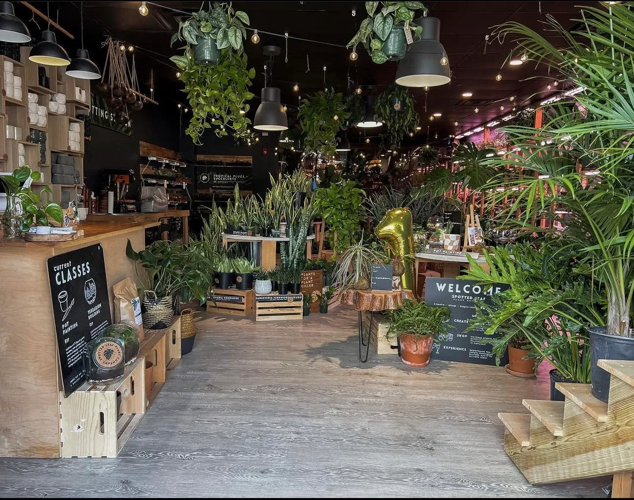 Inside Spotted Leaf's experiential, retail plant shop teeming with greenery
